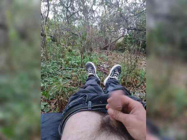 Shpalerr1