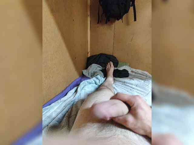 Shpalerr1