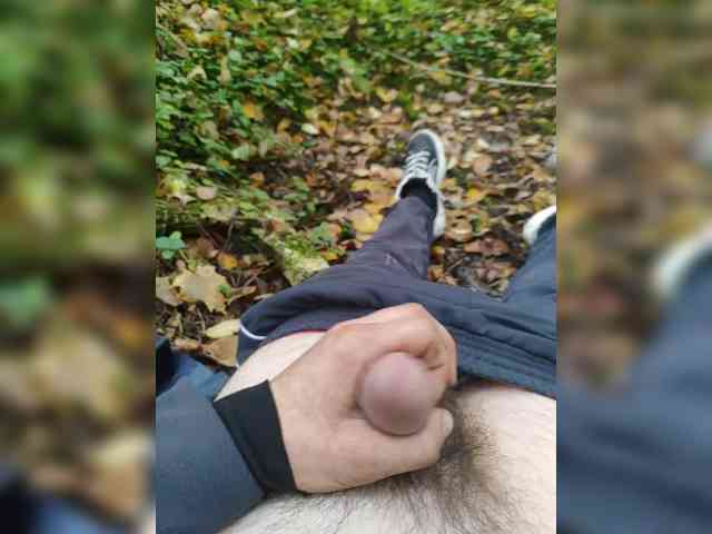 Shpalerr1