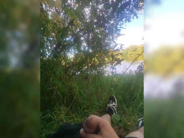 Shpalerr1 Shpalerr1