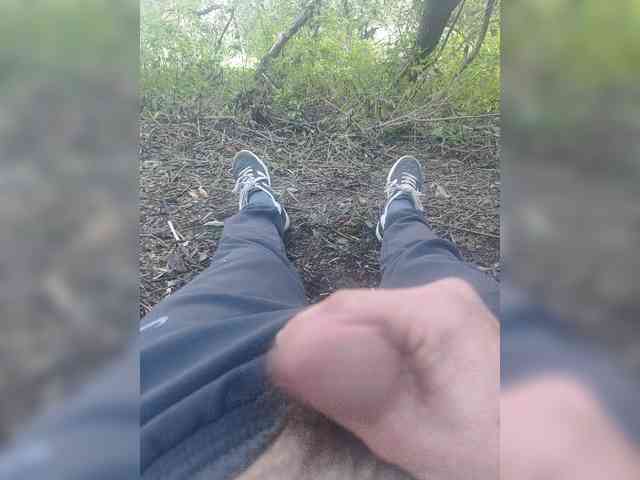Shpalerr1