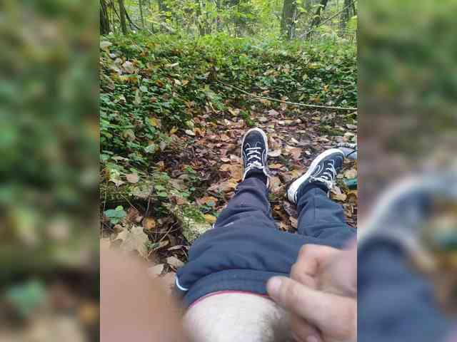 Shpalerr1