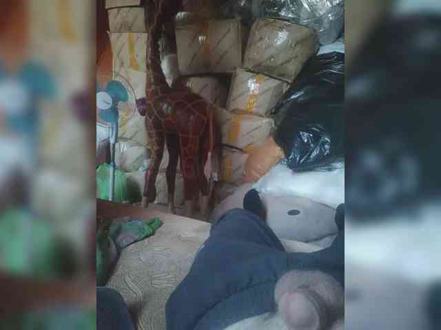 Shpalerr1