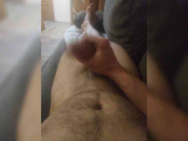 Shpalerr1