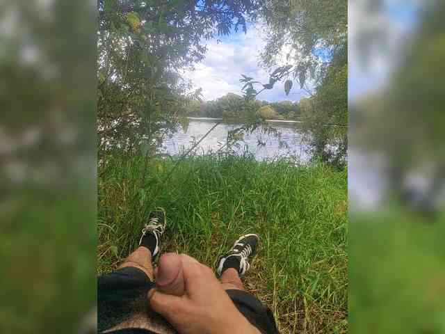 Shpalerr1