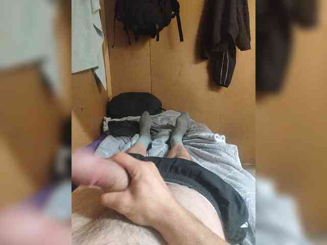 Shpalerr1