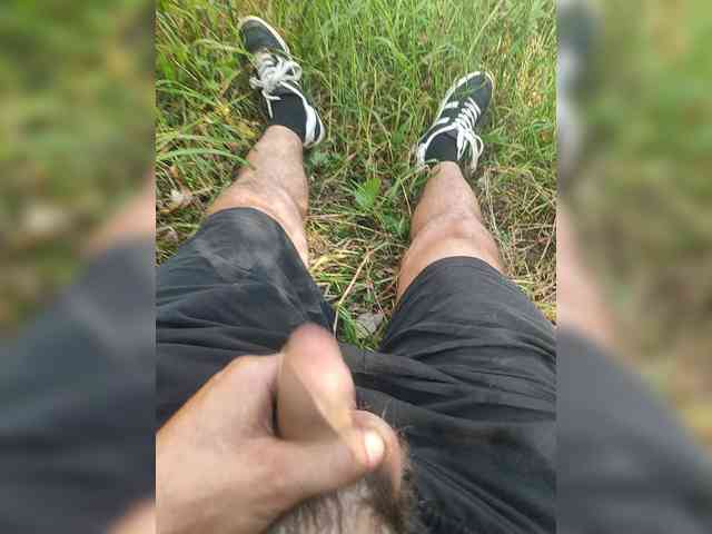 Shpalerr1
