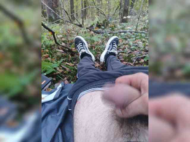 Shpalerr1