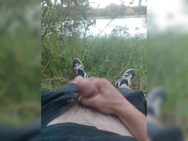 Shpalerr1 Shpalerr1