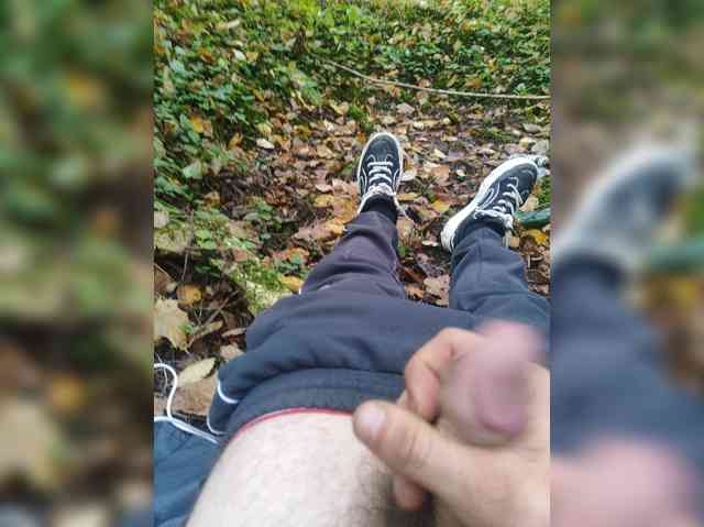 Shpalerr1