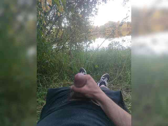 Shpalerr1