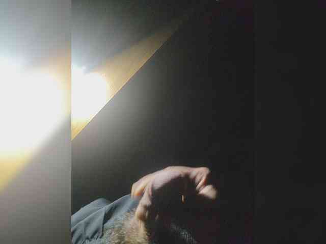 Shpalerr1