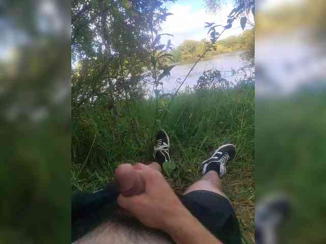 Shpalerr1