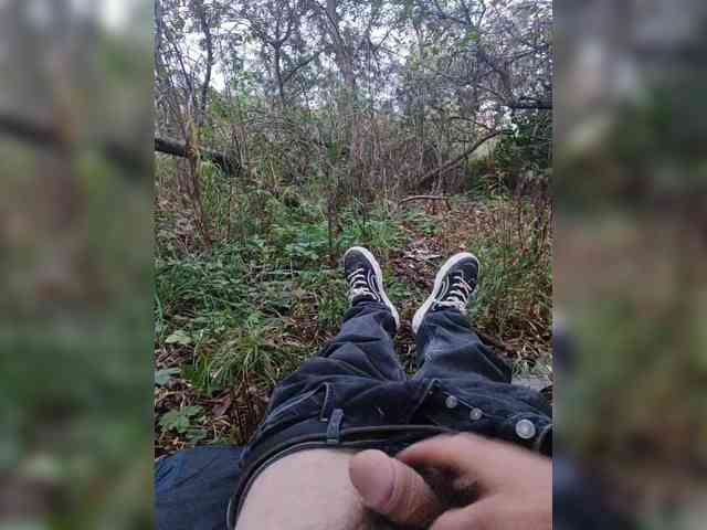 Shpalerr1
