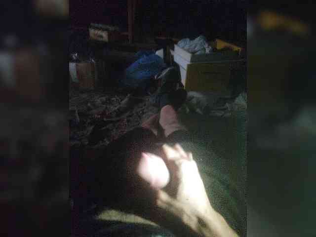 Shpalerr1 Sex Cam Show
