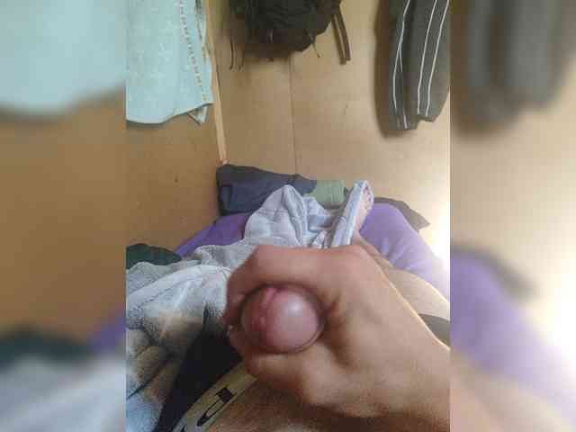 Shpalerr1 Shpalerr1