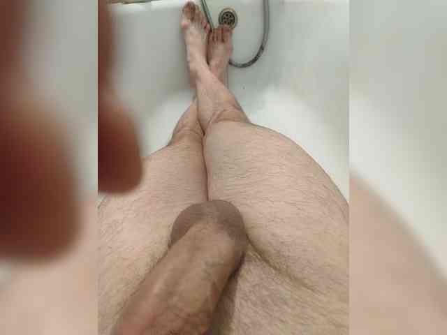 Shpalerr1