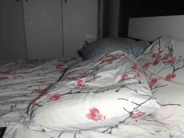 petitedanielle webcam