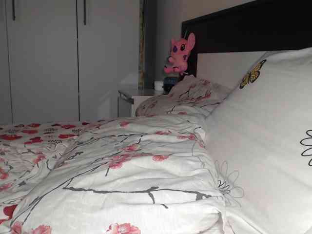 petitedanielle webcam