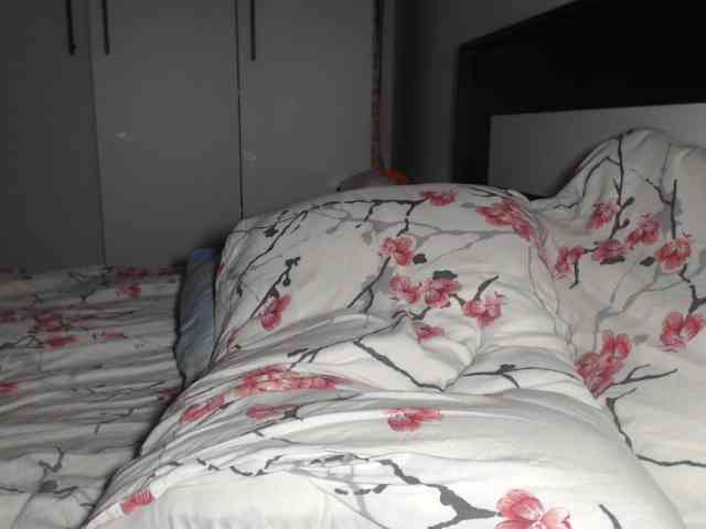 petitedanielle webcam