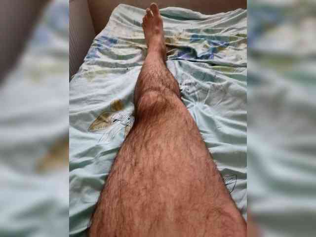 Pruhaaa