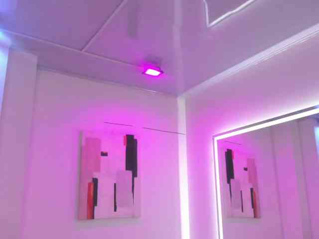 Leia-laurent webcam