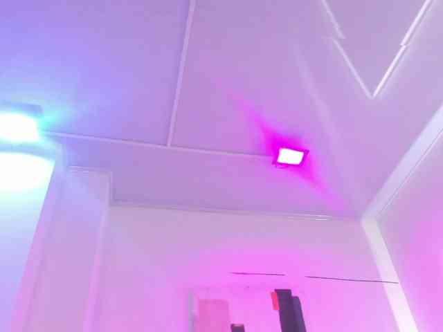 Leia-laurent webcam
