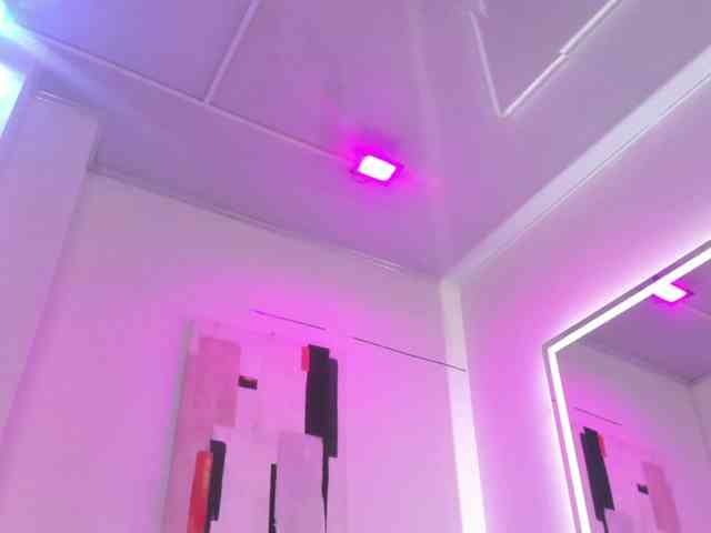 Leia-laurent webcam