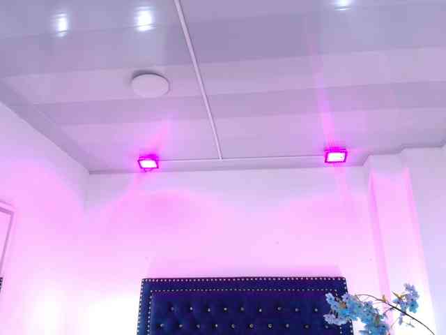 Leia-laurent webcam