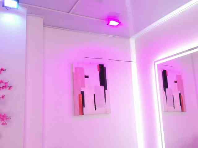 Leia-laurent webcam