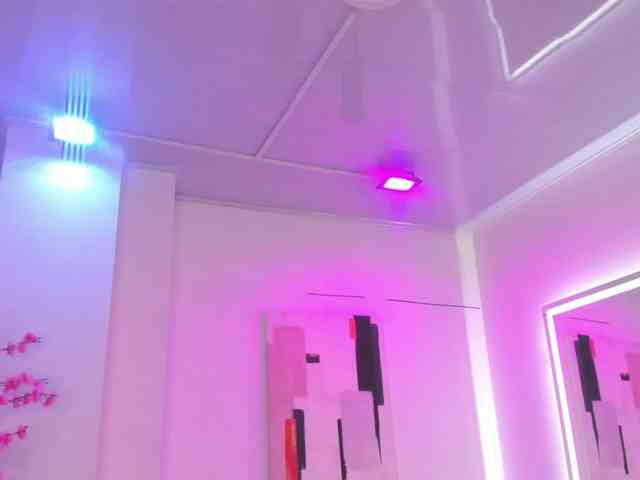 Leia-laurent webcam