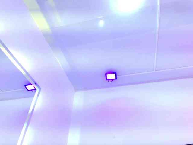 Leia-laurent webcam