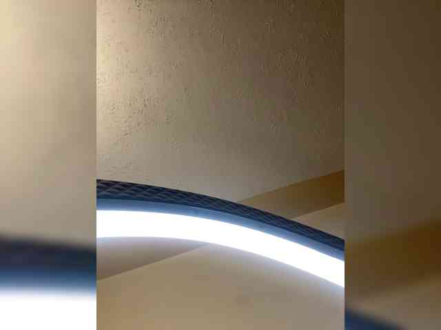 Modella: Busty-Princess1