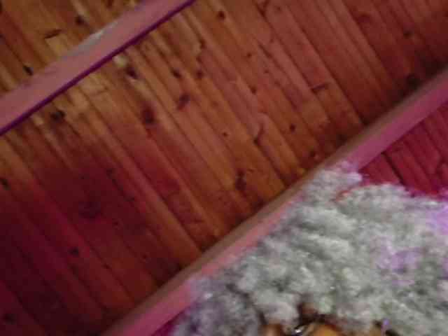 ebony-NeighborMoans webcam