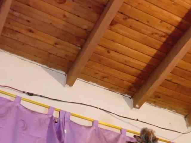 ebony-NeighborMoans webcam