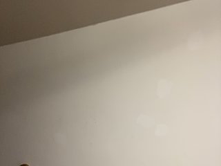 nish_ Porn Show