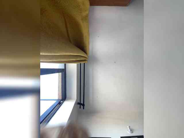 nish_ webcam