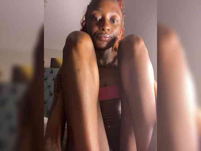 nish_ webcam