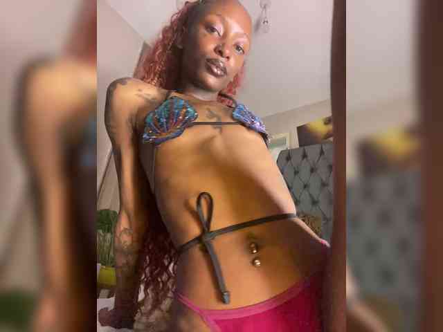 nish_ webcam