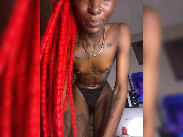 Model: nish_