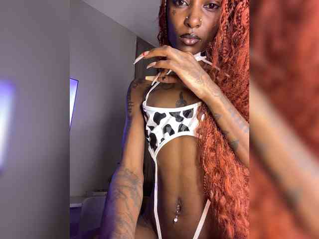 nish_ webcam