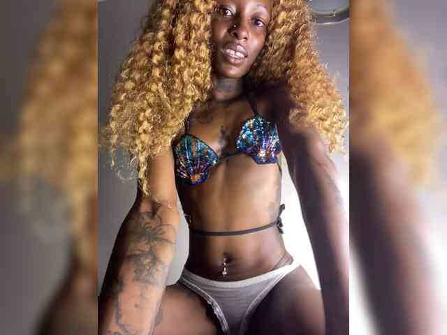 nish_ webcam