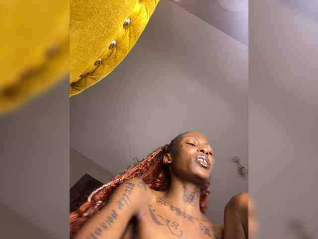 nish_ webcam