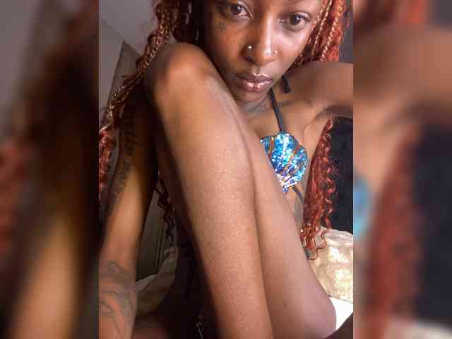 nish_ webcam