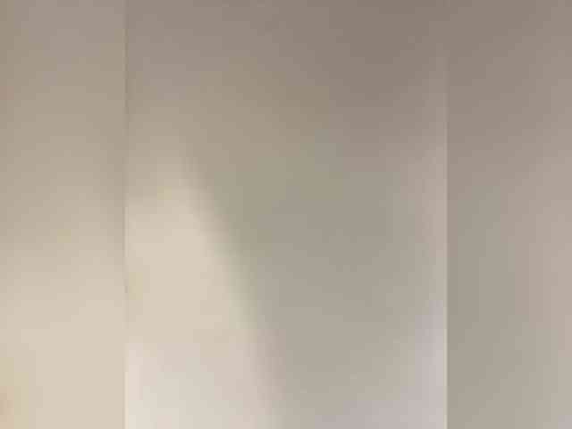 nish_ webcam