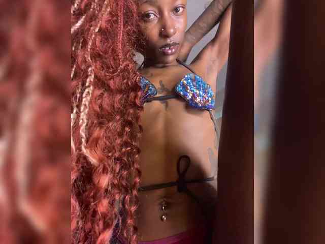 nish_ webcam