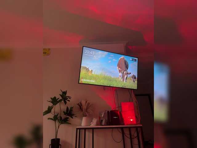 Kotofeyka1 live webcam show