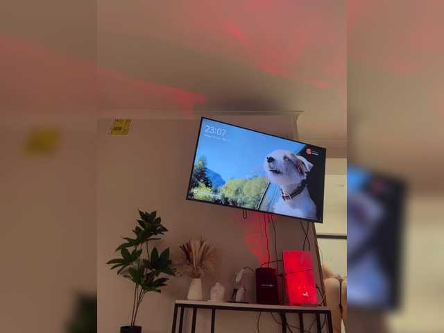 kotofeyka1 cam belle