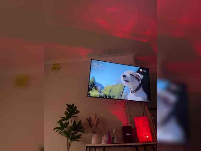 Stiflers_mom webcam