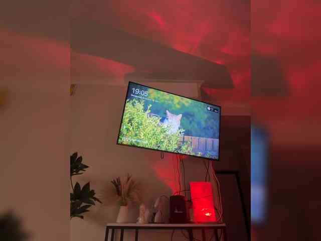 Stiflers_mom webcam